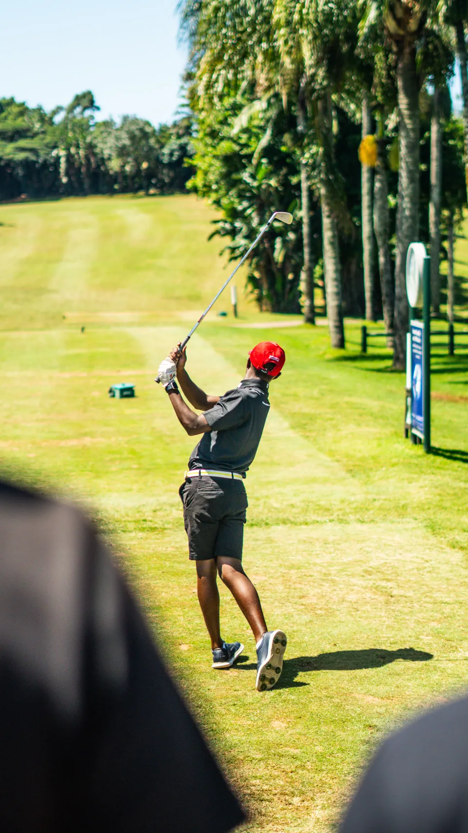 A golfer taking a swing on a palm-lined fairway.